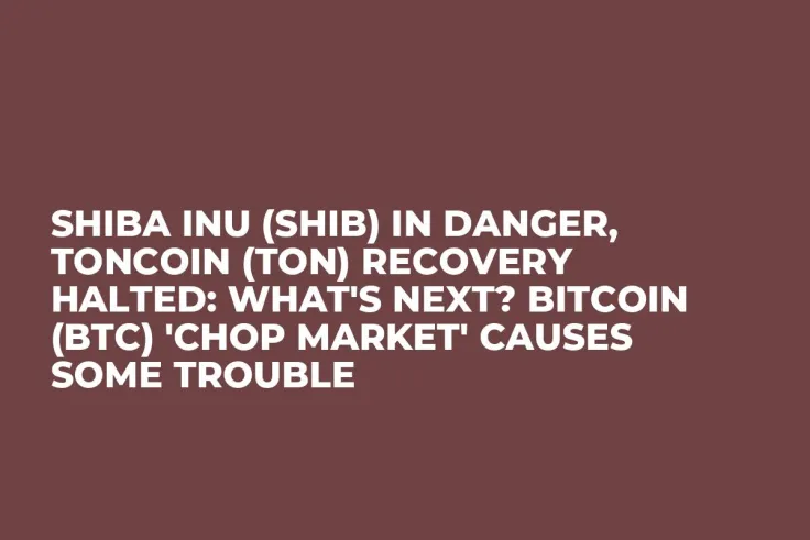 Shiba Inu (SHIB) in Danger, Toncoin (TON) Recovery Halted: What's Next? Bitcoin (BTC) 'Chop Market' Causes Some Trouble