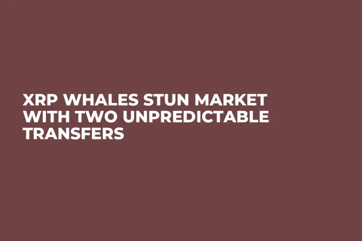 XRP Whales Stun Market With Two Unpredictable Transfers