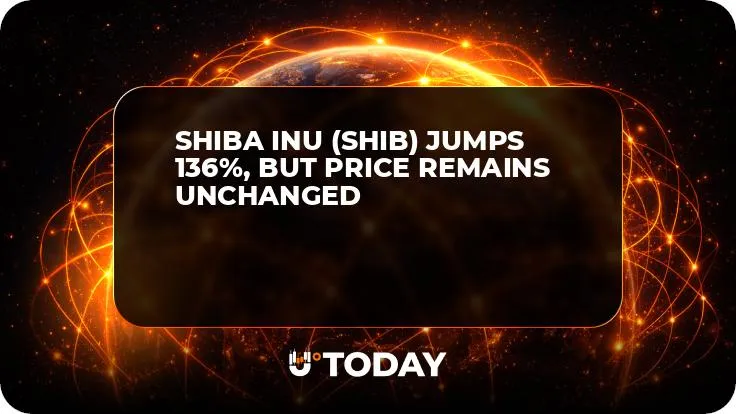 Shiba Inu (SHIB) Jumps 136%, but Price Remains Unchanged
