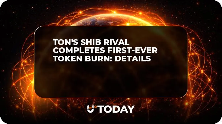 TON's SHIB Rival Completes First-Ever Token Burn: Details