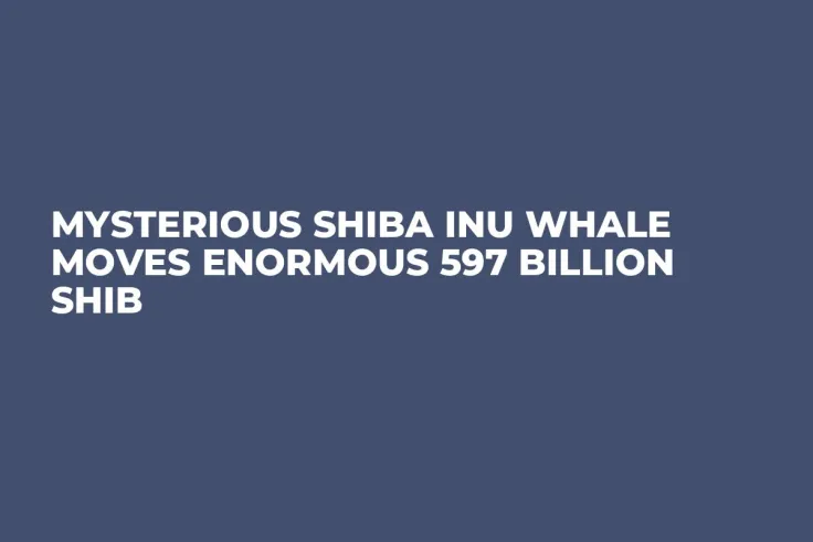 Mysterious Shiba Inu Whale Moves Enormous 597 Billion SHIB