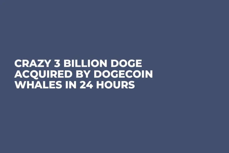Crazy 3 Billion DOGE Acquired by Dogecoin Whales in 24 Hours