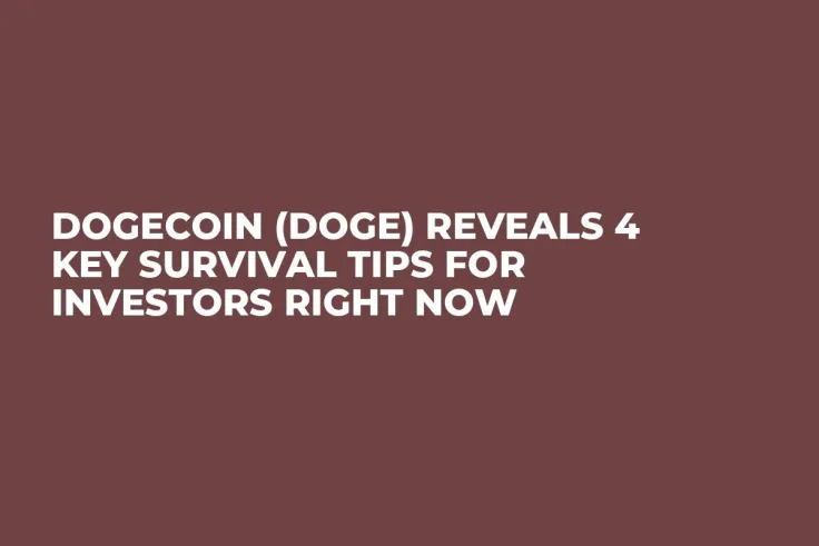 Dogecoin (DOGE) Reveals 4 Key Survival Tips for Investors Right Now