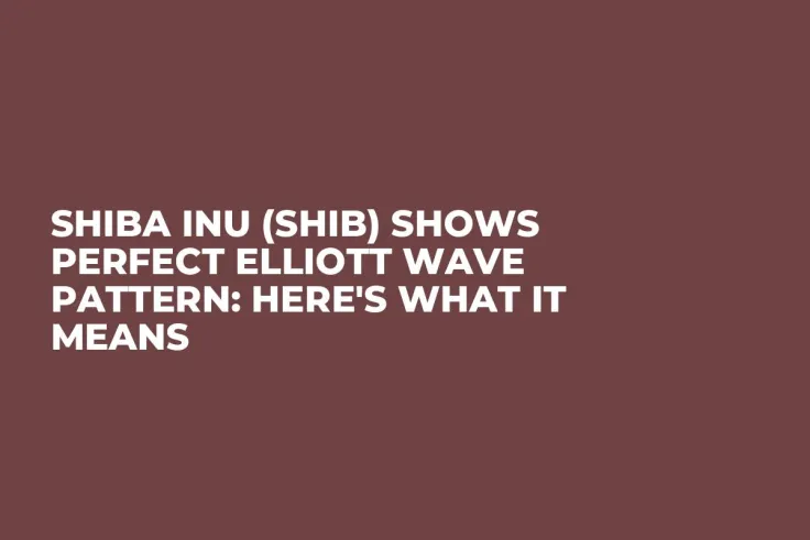 Shiba Inu (SHIB) Shows Perfect Elliott Wave Pattern: Here's What It Means
