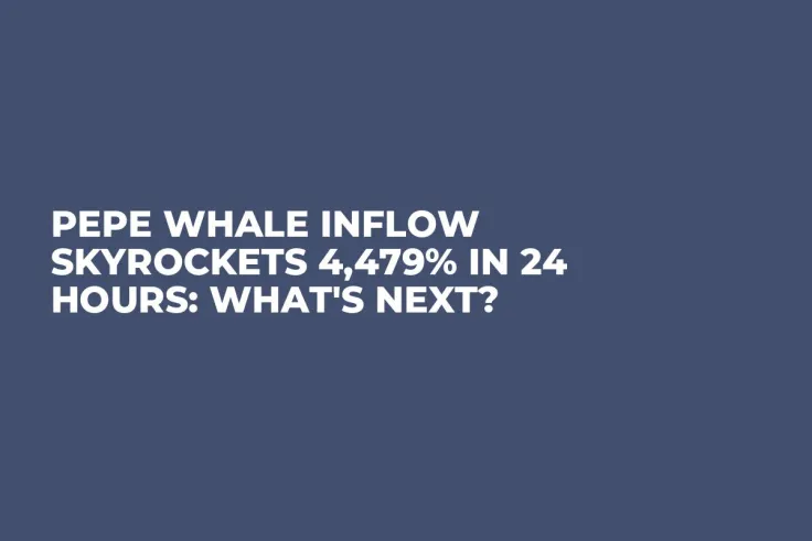 PEPE Whale Inflow Skyrockets 4,479% in 24 Hours: What's Next?