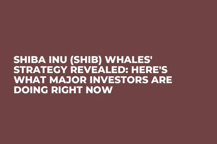 Shiba Inu (SHIB) Whales' Strategy Revealed: Here's What Major Investors Are Doing Right Now