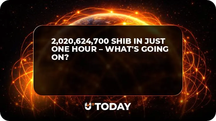 2,020,624,700 SHIB in Just One Hour – What's Going On?