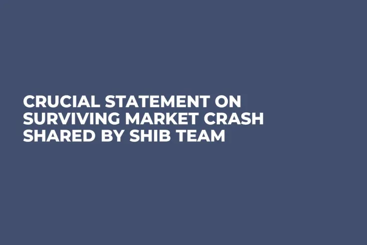 Crucial Statement on Surviving Market Crash Shared by SHIB Team