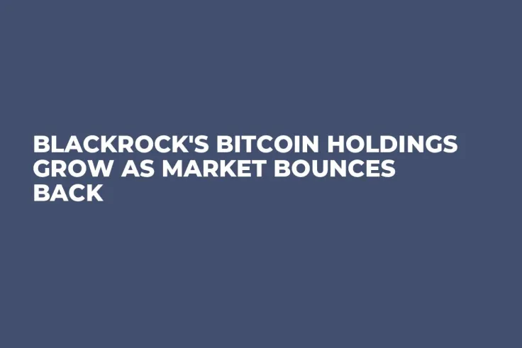 BlackRock's Bitcoin Holdings Grow as Market Bounces Back