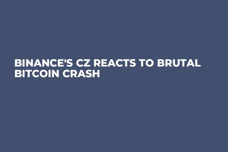 Binance's CZ Reacts to Brutal Bitcoin Crash 