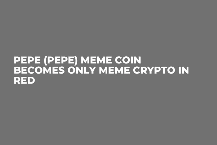 Pepe (PEPE) Meme Coin Becomes Only Meme Crypto in Red