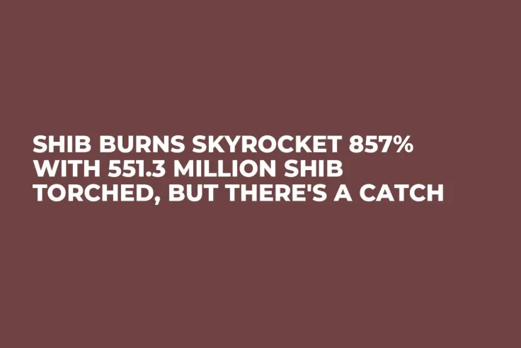 SHIB Burns Skyrocket 857% With 551.3 Million SHIB Torched, But There's a Catch