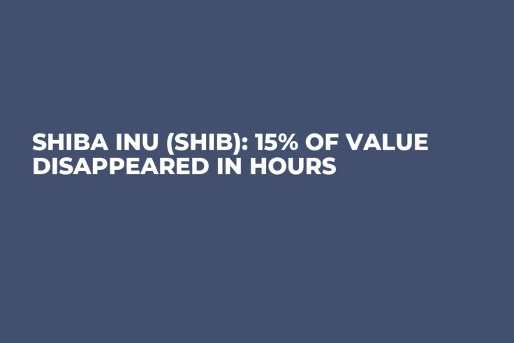 Shiba Inu (SHIB): 15% of Value Disappeared in Hours