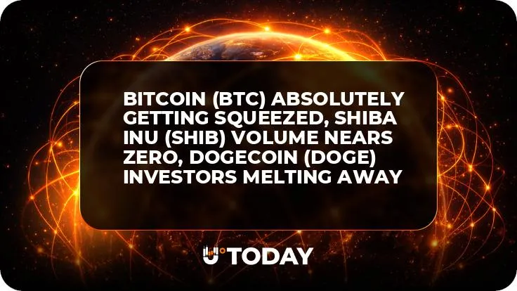 Bitcoin (BTC) Absolutely Getting Squeezed, Shiba Inu (SHIB) Volume Nears Zero, Dogecoin (DOGE) Investors Melting Away