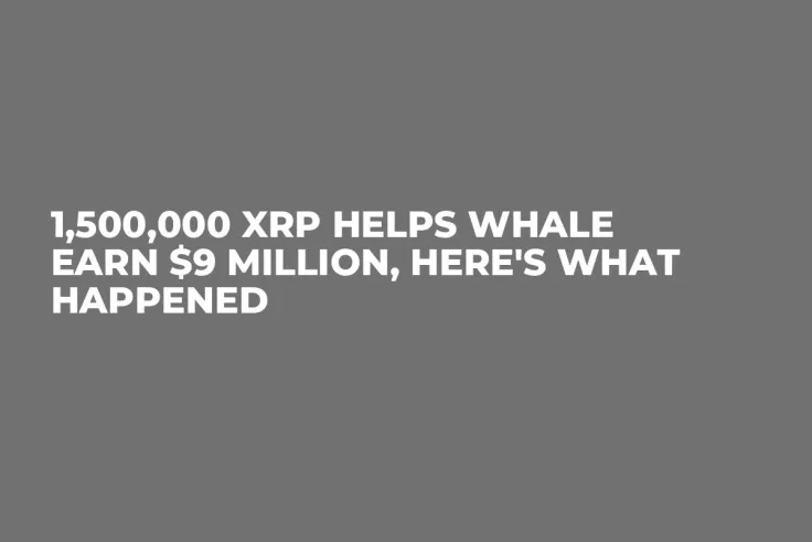 1,500,000 XRP Helps Whale Earn $9 Million, Here's What Happened