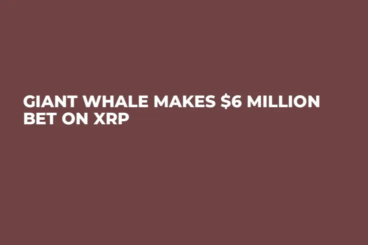Giant Whale Makes $6 Million Bet on XRP