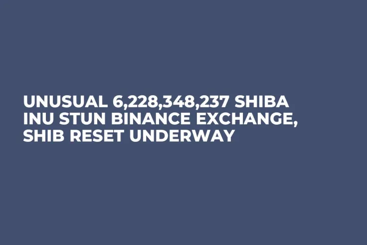Unusual 6,228,348,237 Shiba Inu Stun Binance Exchange, SHIB Reset Underway