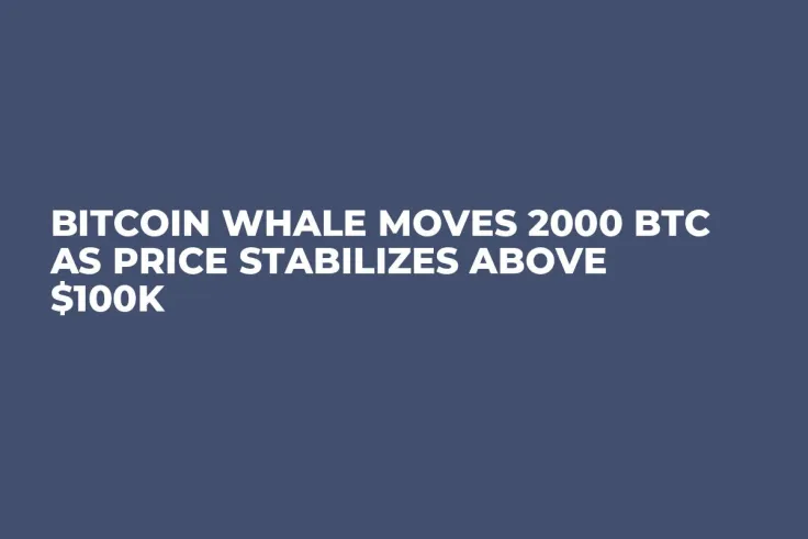 Bitcoin Whale Moves 2000 BTC as Price Stabilizes Above $100K