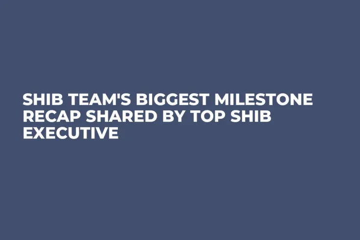 SHIB Team's Biggest Milestone Recap Shared by Top SHIB Executive