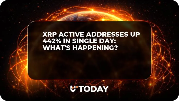 XRP Active Addresses Up 442% in Single Day: What's Happening?