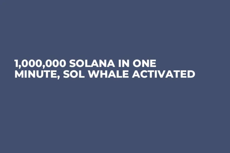 1,000,000 Solana in One Minute, SOL Whale Activated