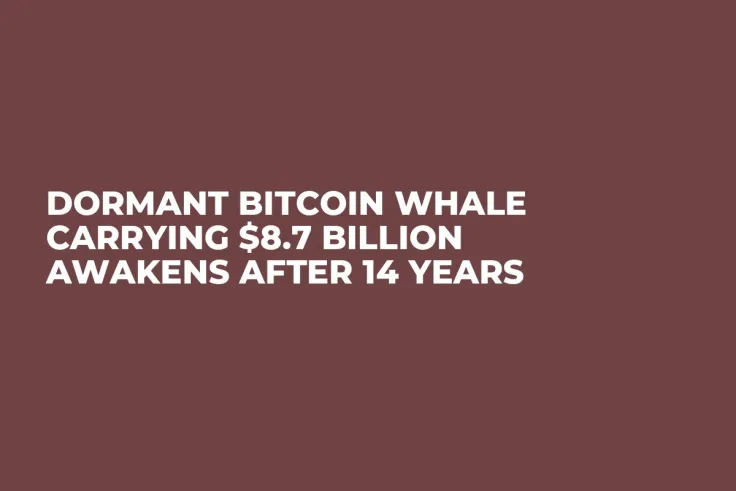Dormant Bitcoin Whale Carrying $8.7 Billion Awakens After 14 Years