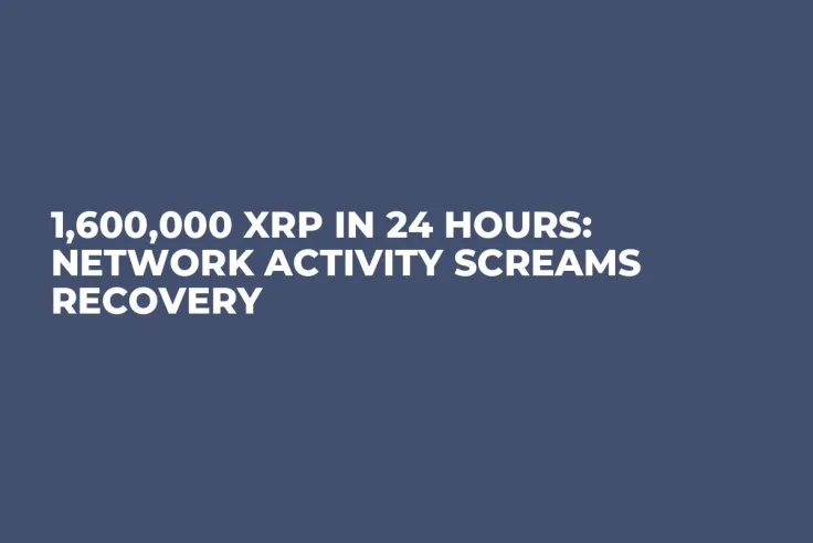 1,600,000 XRP in 24 Hours: Network Activity Screams Recovery