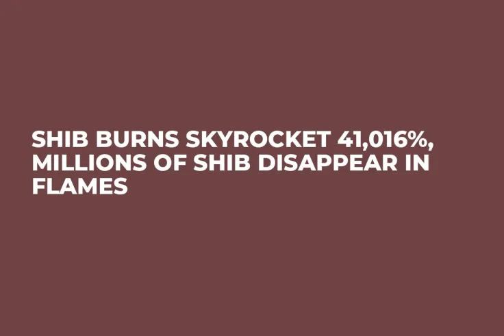 SHIB Burns Skyrocket 41,016%, Millions of SHIB Disappear in Flames