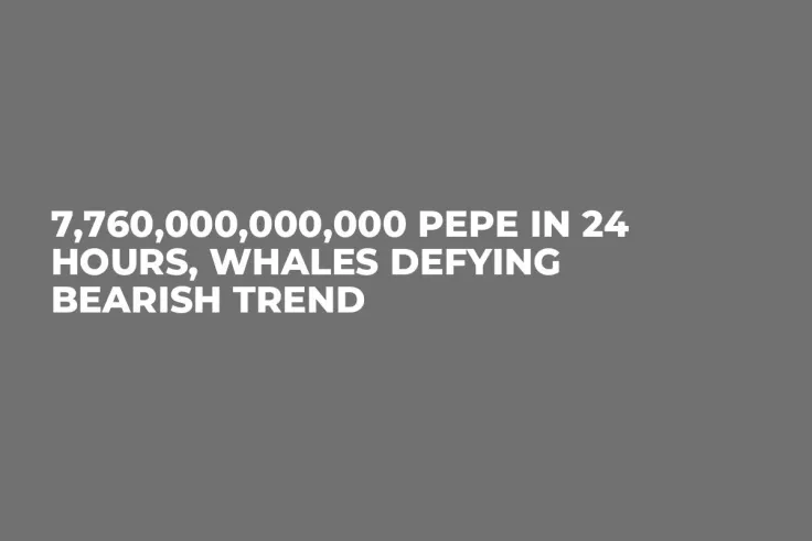 7,760,000,000,000 PEPE in 24 Hours, Whales Defying Bearish Trend