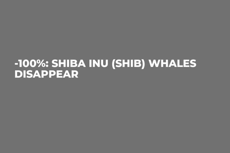 -100%: Shiba Inu (SHIB) Whales Disappear