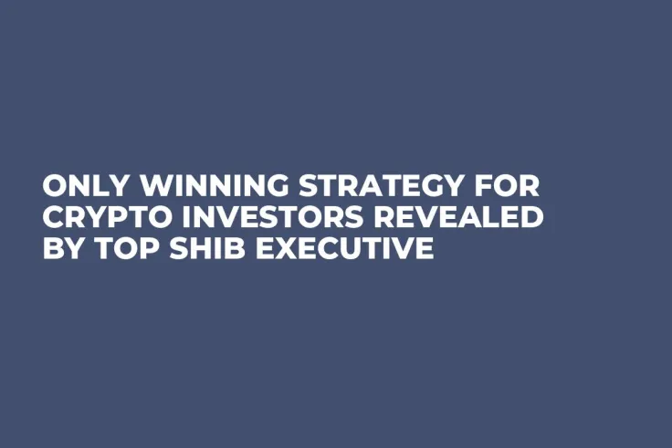 Only Winning Strategy for Crypto Investors Revealed by Top SHIB Executive