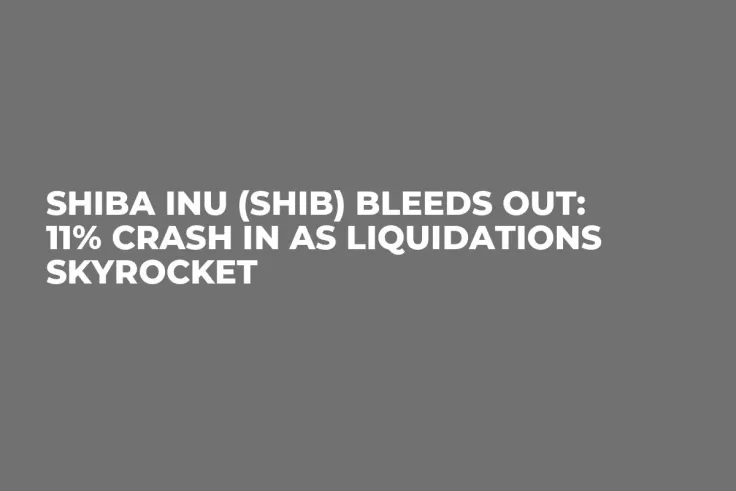Shiba Inu (SHIB) Bleeds Out: 11% Crash in as Liquidations Skyrocket