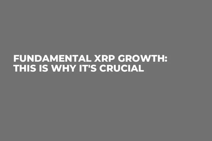 Fundamental XRP Growth: This Is Why It's Crucial