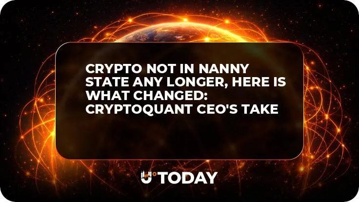 Crypto Not in Nanny State Any Longer, Here Is What Changed: CryptoQuant CEO's Take