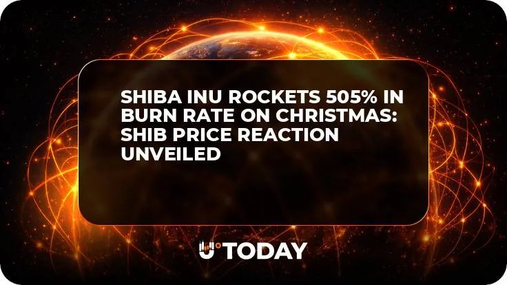 Shiba Inu Rockets 505% in Burn Rate on Christmas: SHIB Price Reaction Unveiled