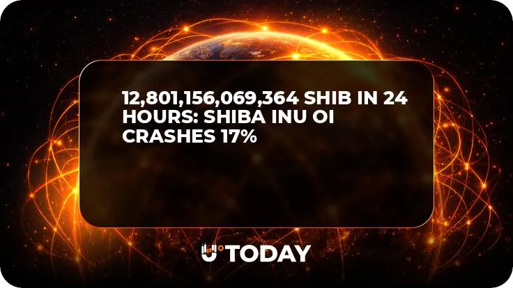12,801,156,069,364 SHIB in 24 Hours: Shiba Inu OI Crashes 17%