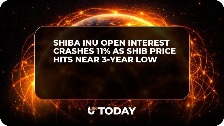 Shiba Inu Open Interest Crashes 11% as SHIB Price Hits Near 3-Year Low