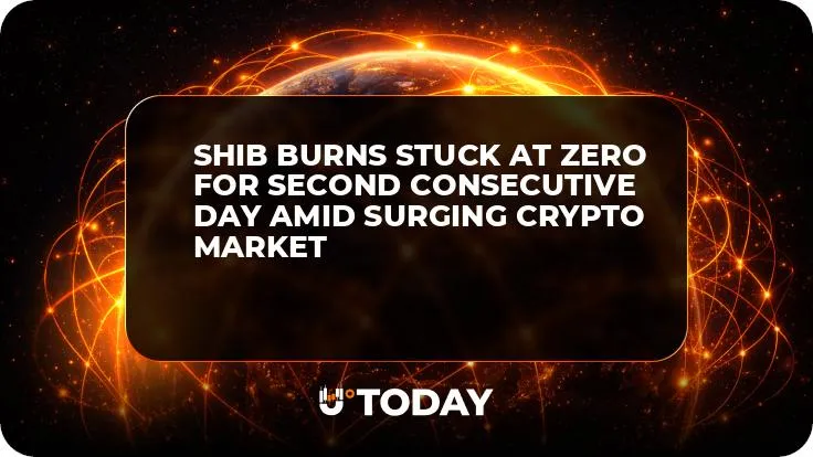SHIB Burns Stuck at Zero for Second Consecutive Day Amid Surging Crypto Market