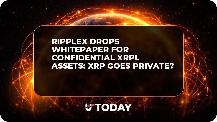 RippleX Drops Whitepaper for Confidential XRPL Assets: XRP Goes Private?
