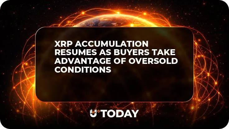 XRP Accumulation Resumes as Buyers Take Advantage of Oversold Conditions