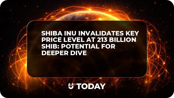Shiba Inu Invalidates Key Price Level at 213 Billion SHIB: Potential for Deeper Dive