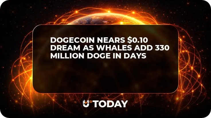 Dogecoin Nears $0.10 Dream as Whales Add 330 Million DOGE in Days
