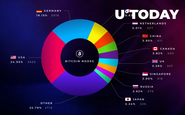 Top Countries by Bitcoin Nodes: US and Germany in the Lead 