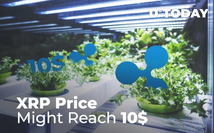 Every Ripple Price Prediction 2019 Says the Same Thing: XRP Price Might Reach 10$