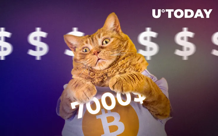 [BTC/USD] Price Prediction: $7,000 by the End of May 2019? Bulls Are on the Winning Side!