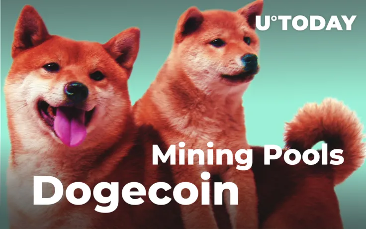 Dogecoin Mining Pools - Is It Worth It?