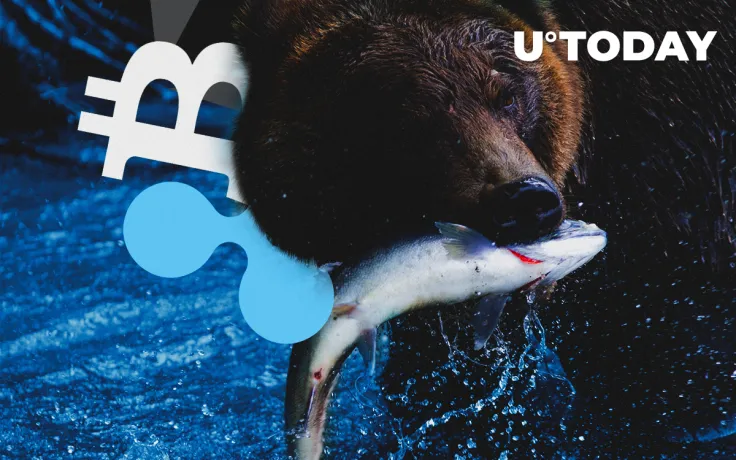 BTC, ETH, XRP Price Prediction — Growth Was Changed by the Market Fall. Have Bears Seized the Initiative?