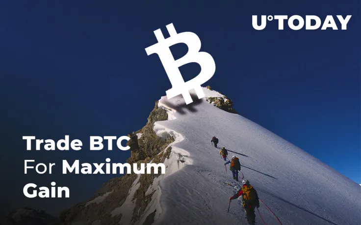 BTC Price Is Climbing to $8,600 Before the Dump. How to Trade BTC for Maximum Gains?