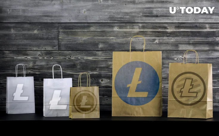 Litecoin (LTC): Top 5 Places to Help You Part with It