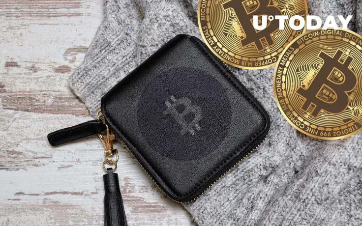 This Bitcoin Wallet Will Set You Back $50,000